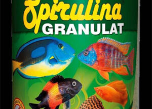 spirulina granulat