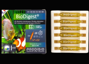 biodigest prodibio